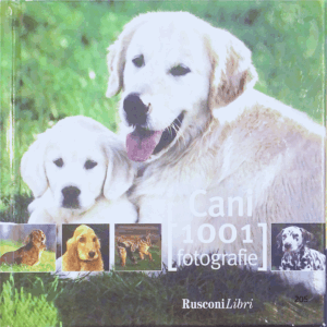 Cani-1001 fotografie